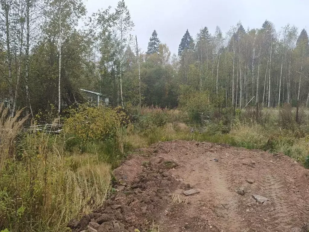 Участок в Московская область, Мытищи городской округ, с. Марфино ул. ... - Фото 2