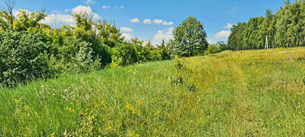 участок в курская область, курск ул. генерала тупикова (10.0 сот.) - Фото 1