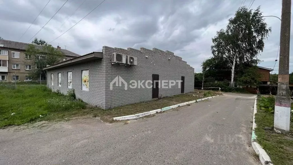 Торговая площадь в Московская область, Павловский Посад ул. Разина, ... - Фото 2