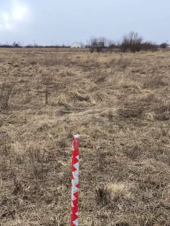 Участок в Вологодская область, пос. Дубровское  (10.5 сот.) - Фото 2