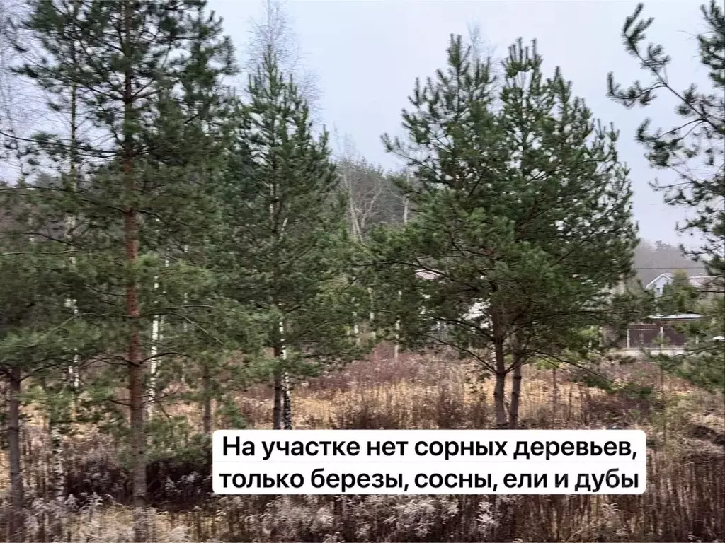 Участок в Московская область, Подольск городской округ, пос. ... - Фото 2