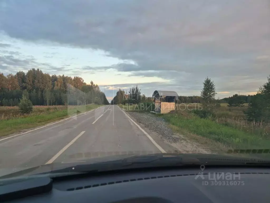 Участок в Тюменская область, Нижнетавдинский район, пос. Торгили  ... - Фото 1