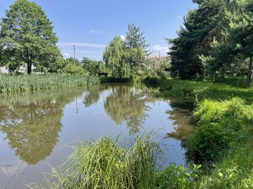 Участок в Московская область, Раменский муниципальный округ, д. ... - Фото 2
