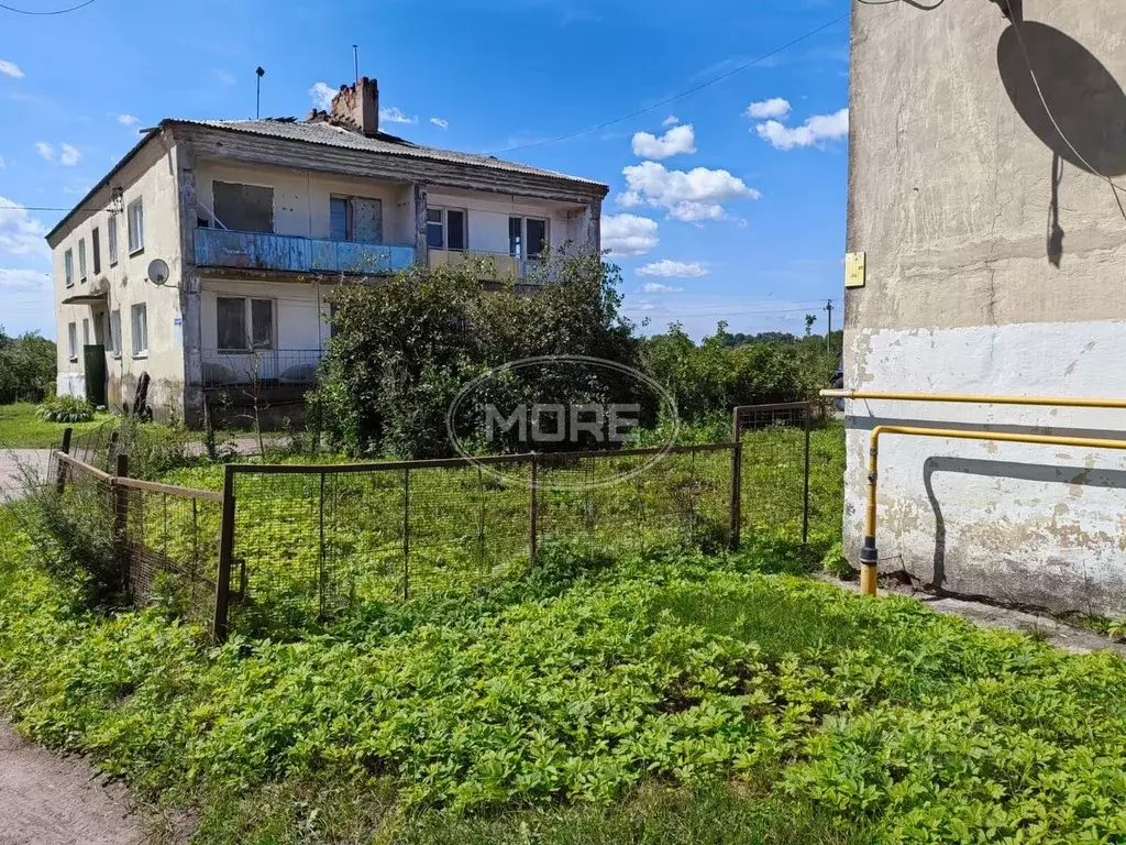 2-к кв. Калининградская область, Гусевский городской округ, пос. ... - Фото 1