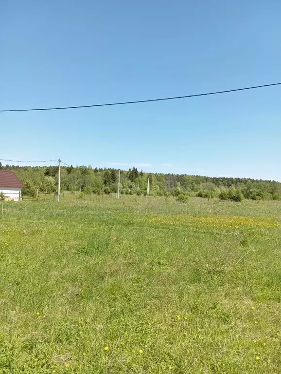 Участок в Пермский край, с. Платошино пер. Обозный (10.0 сот.) - Фото 0