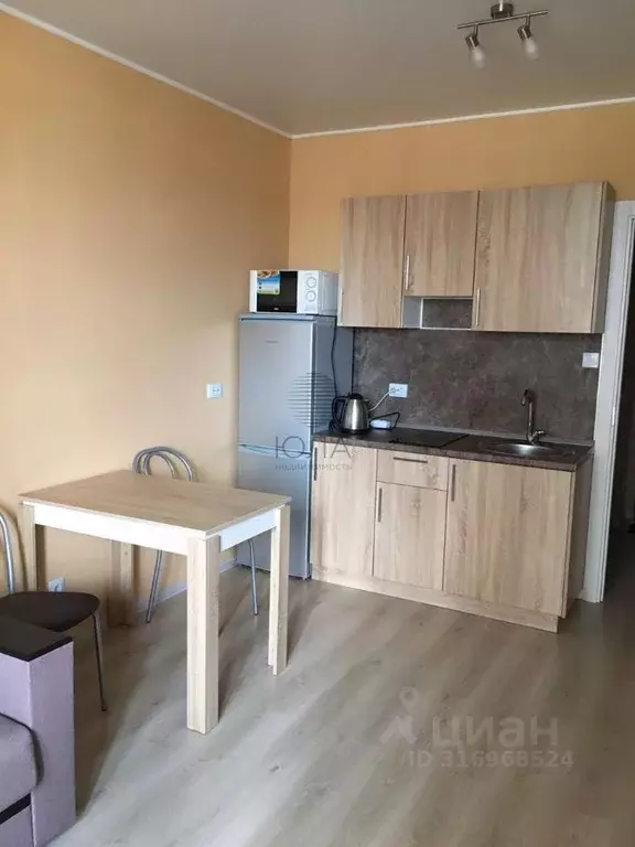 Студия Санкт-Петербург Парашютная ул., 38к1 (21.8 м) - Фото 0
