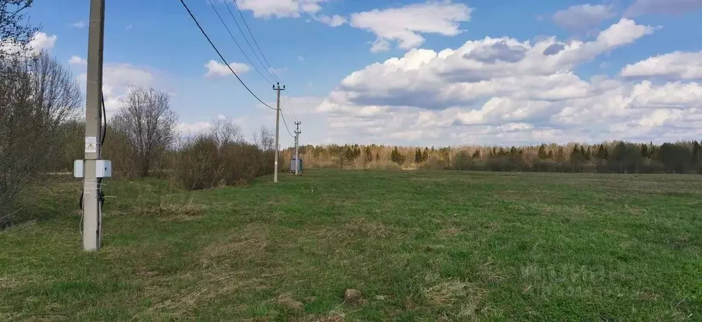 Участок в Новгородская область, Чудовский район, Трегубовское с/пос  ... - Фото 1