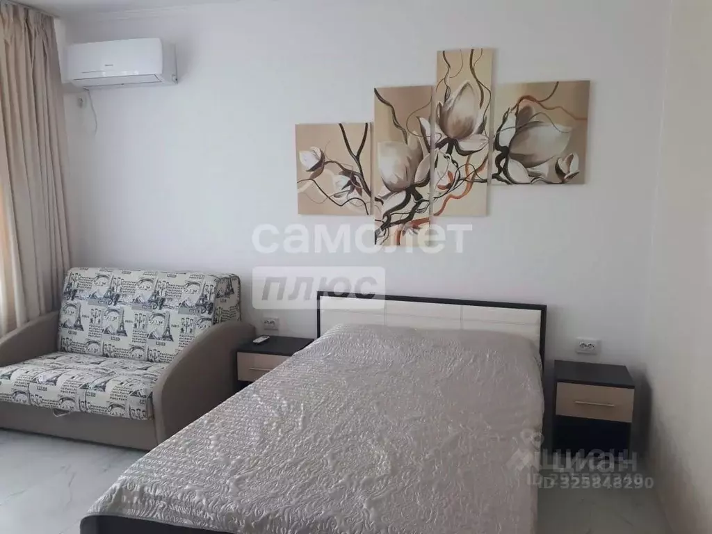 Студия Краснодарский край, Анапа ул. Верхняя Дорога, 151к2 (33.0 м) - Фото 2