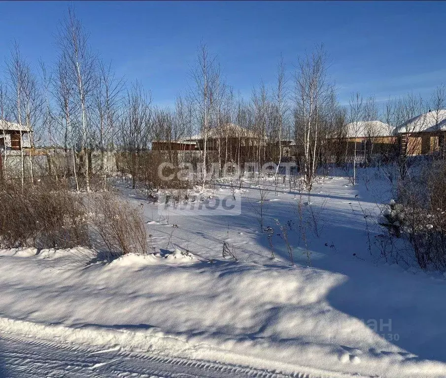 Участок в Тюменская область, Тюменский муниципальный округ, с. ... - Фото 1