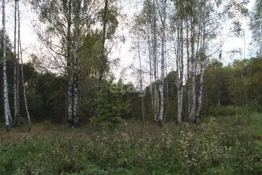 Участок в Псковская область, Пушкиногорье городское поселение, ... - Фото 2