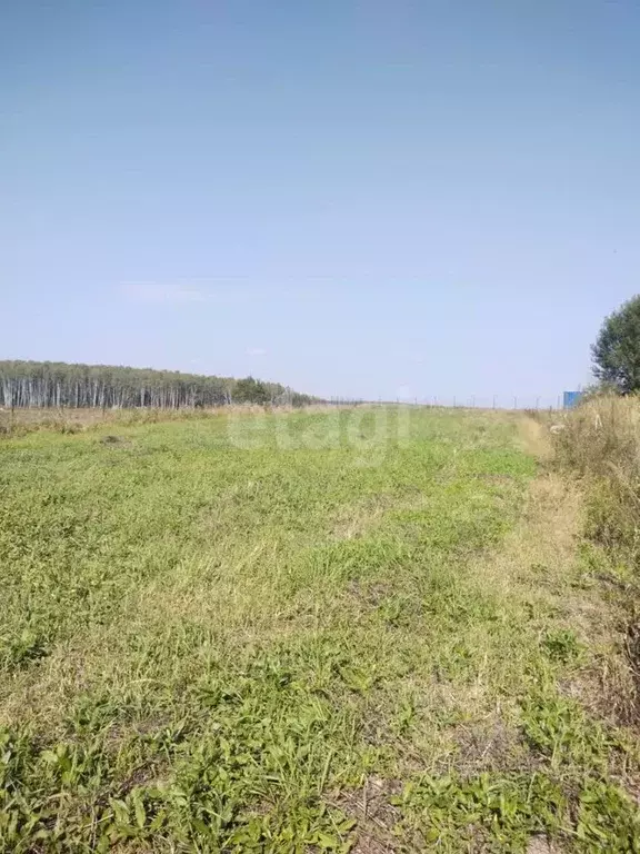 Участок в Калужская область, Козельский муниципальный округ, с. Губино ... - Фото 1