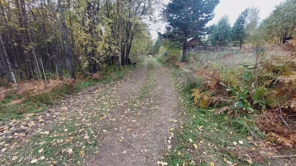 Участок в Иркутская область, Иркутский муниципальный округ, Пчелка СНТ ... - Фото 2