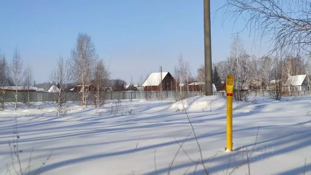 Участок в Новосибирская область, Новосибирский район, Морской ... - Фото 1