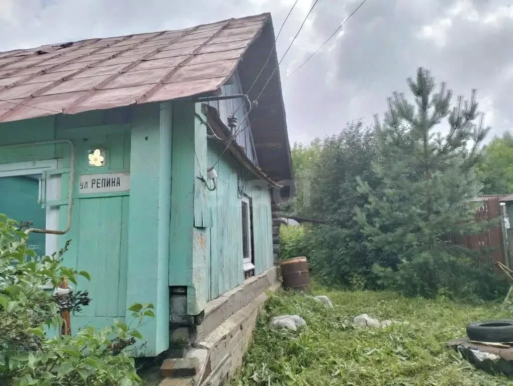 Дом в Пермский край, Лысьва ул. Репина, 94 (51 м) - Фото 2