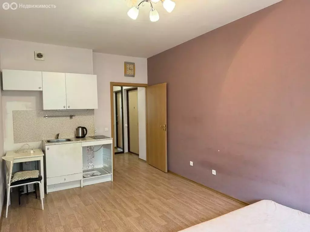 Квартира-студия: Кудрово, Центральная улица, 52к1 (23.6 м) - Фото 2