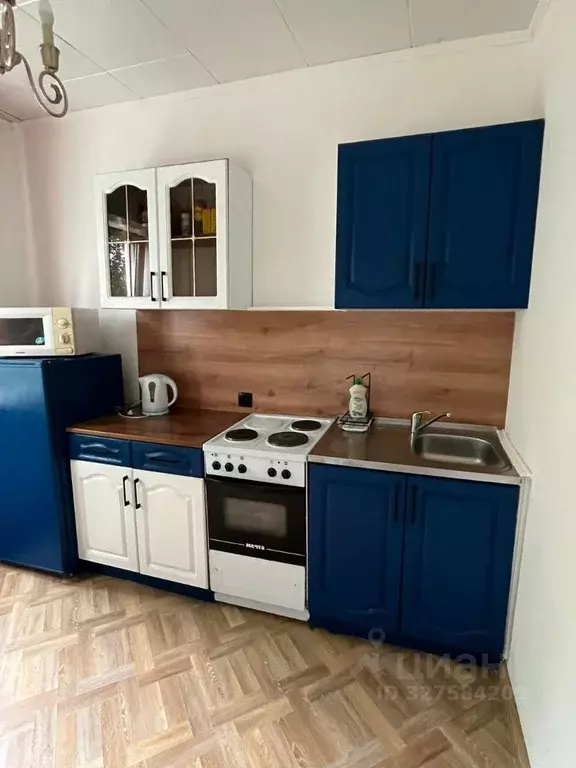 1-к кв. Алтайский край, Барнаул городской округ, Южный рп ул. ... - Фото 1