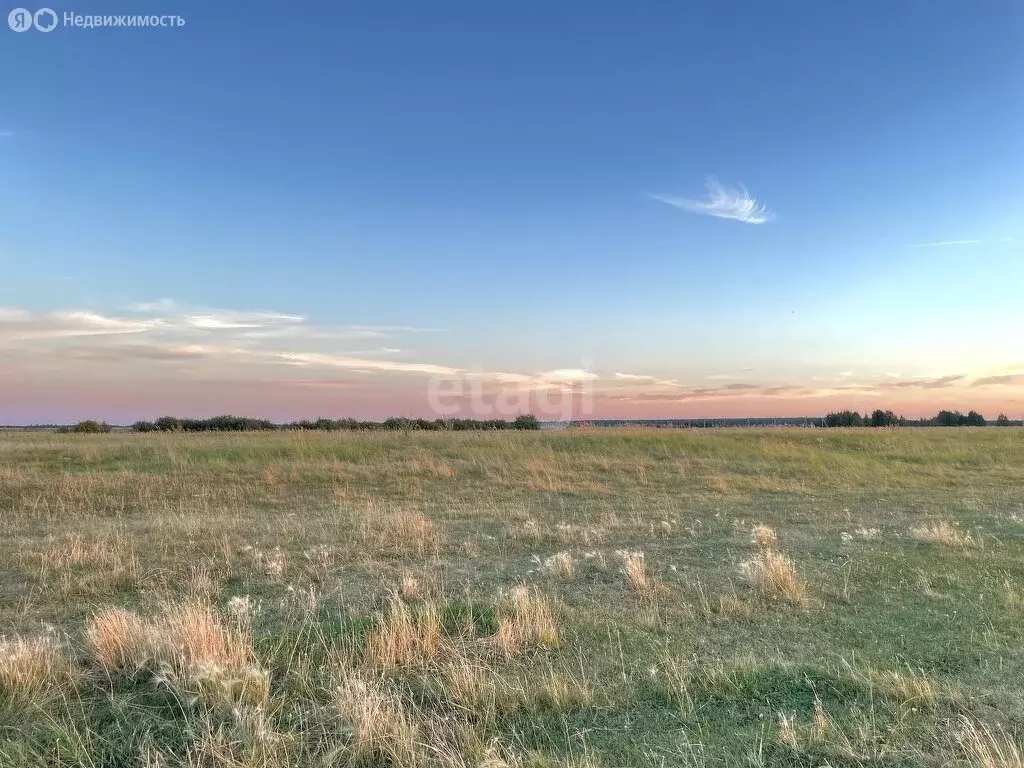 Участок в Печёнкинское сельское поселение, село Шибаево (166.06 м) - Фото 0