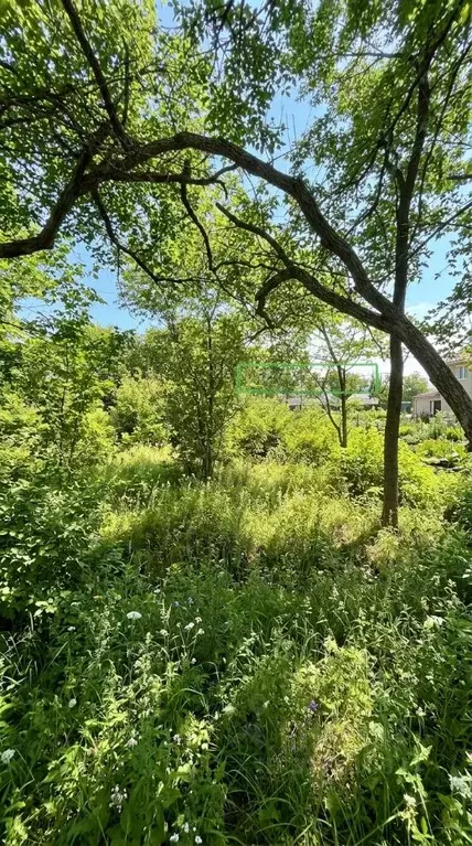 Участок в Приморский край, Артемовский городской округ, с. Кневичи ул. ... - Фото 1