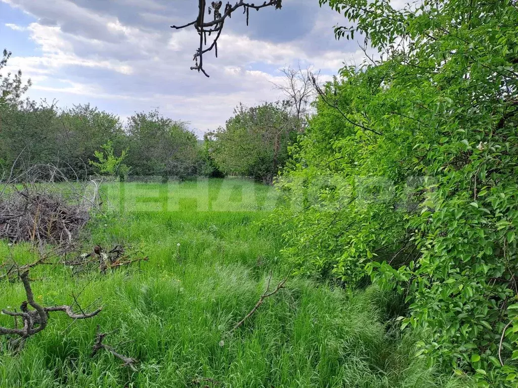 Дом в Ростовская область, Новочеркасск ул. Клещева (80 м) - Фото 2