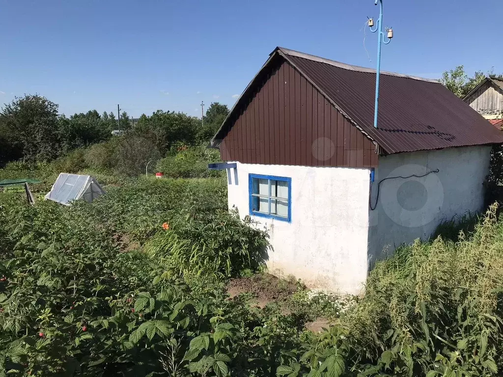 Участок 4,1 сот. (СНТ, ДНП) - Фото 1