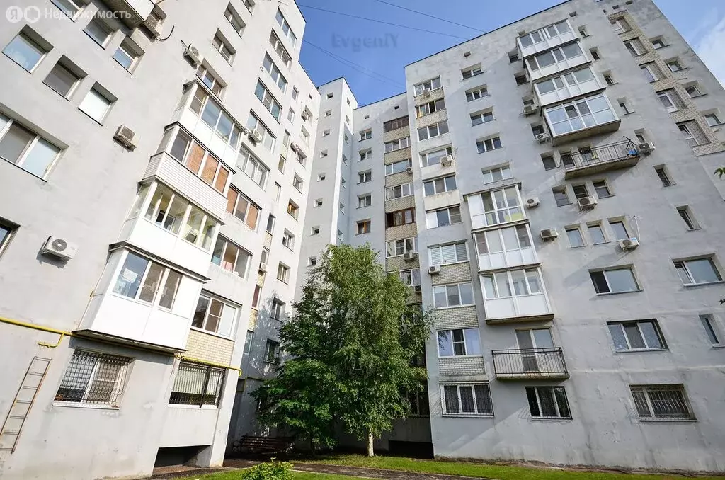 3-комнатная квартира: Саратов, улица имени Братьев Никитиных, 6 (84 м) - Фото 1