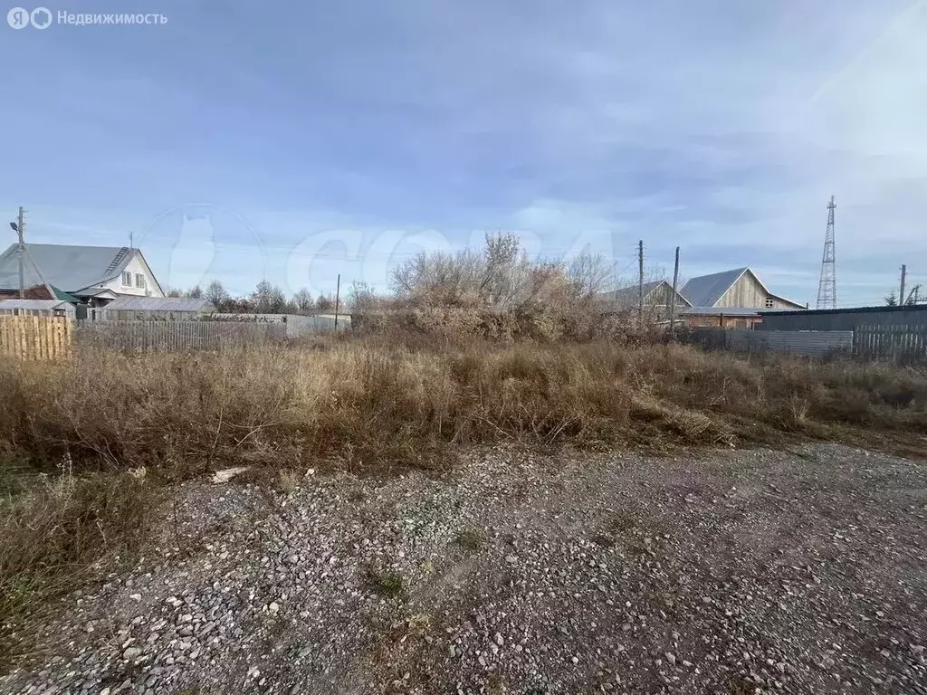 Участок в Тюменская область, Исетский муниципальный округ, село ... - Фото 2