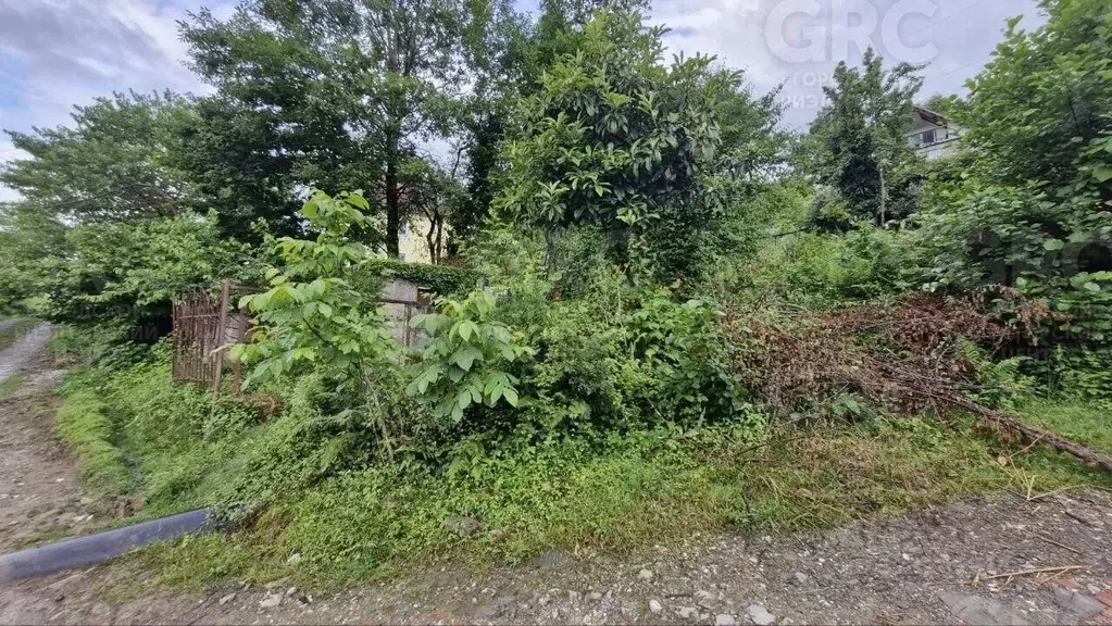 Участок в Краснодарский край, Сочи городской округ, с. Верхний Юрт ул. ... - Фото 2