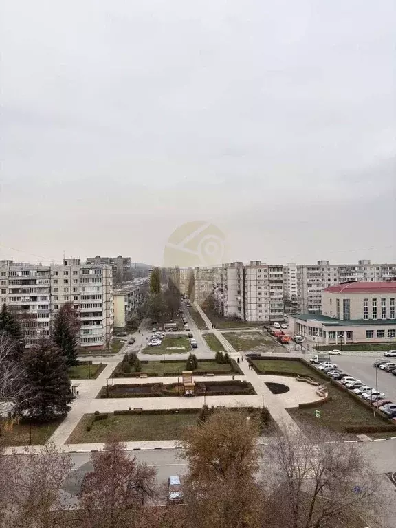 1-к кв. Белгородская область, Старый Оскол Молодогвардеец мкр, 1 (22.3 ... - Фото 1