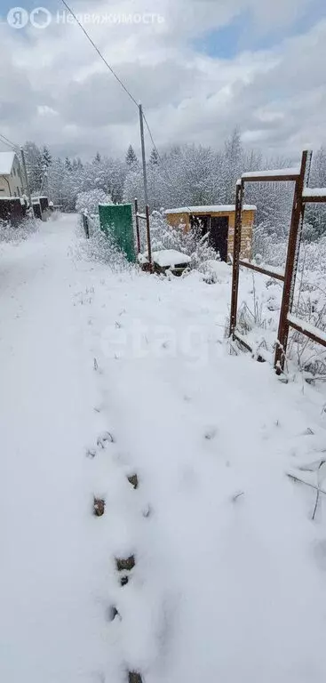 Дом в Пермский муниципальный округ, СНТ Лазурный (40 м) - Фото 2