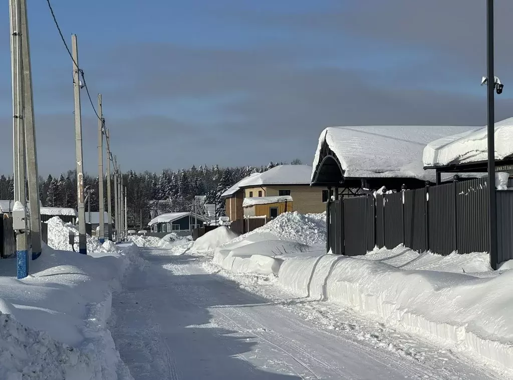 Участок в Московская область, Пушкинский городской округ, Росхмель СНТ ... - Фото 1