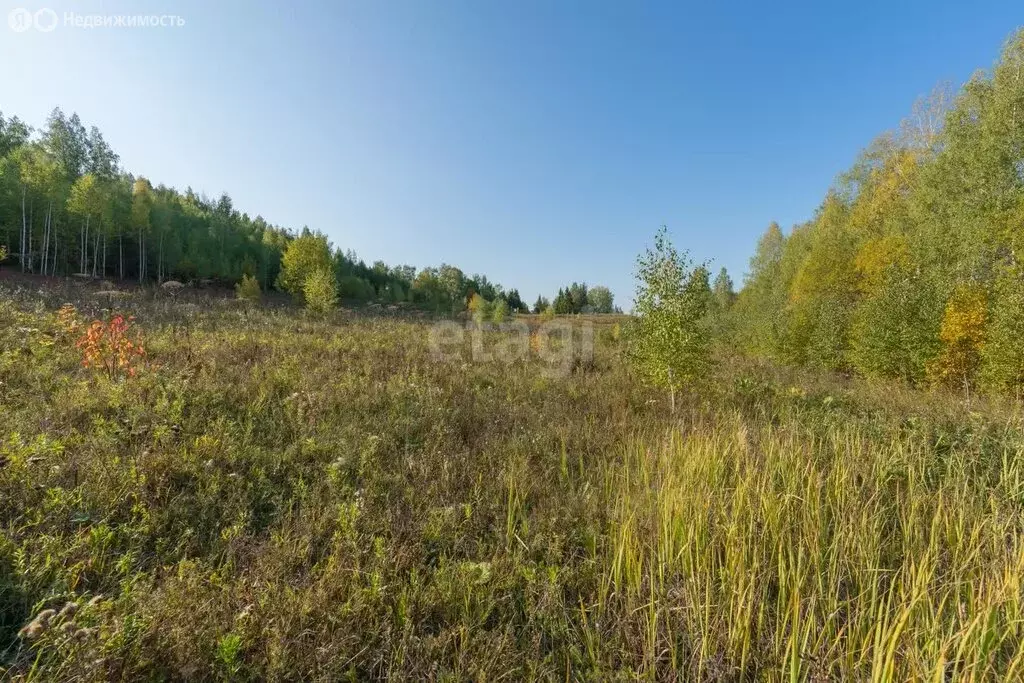 Участок в Пермский край, Осинский муниципальный округ, село Крылово ... - Фото 1