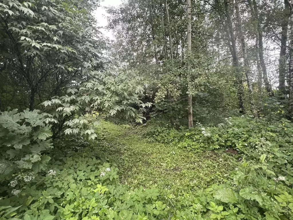 Участок в Московская область, Высоковск Клин городской округ, д. ... - Фото 1