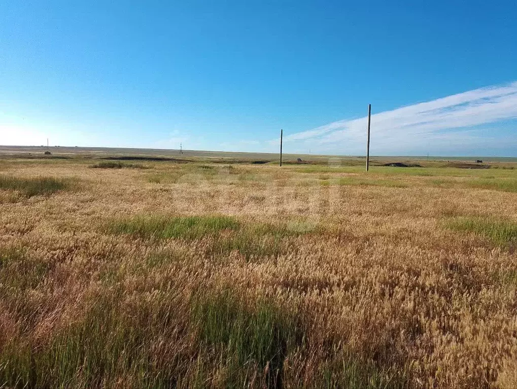 Участок в Крым, Ленинский район, Батальненское с/пос, Нептун СНТ  (6.0 ... - Фото 0