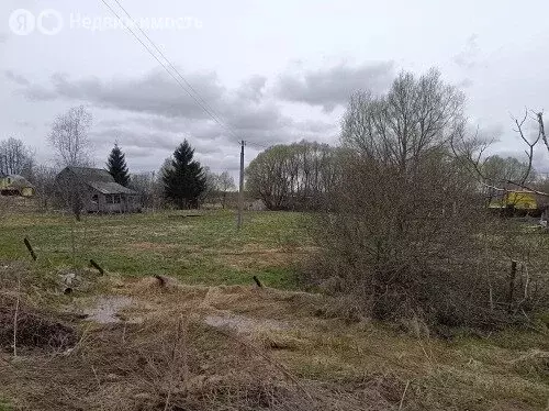 Участок в Московская область, Рузский муниципальный округ (15 м) - Фото 2