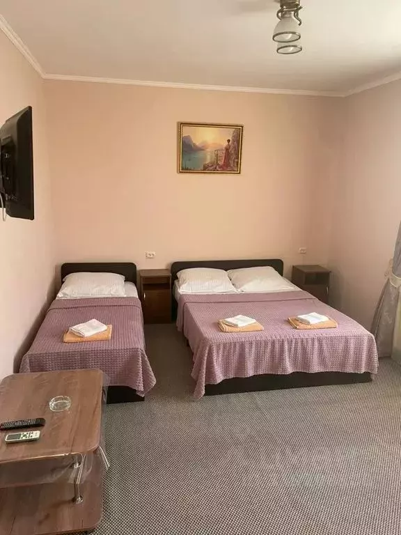 Комната Краснодарский край, Сочи ул. Православная, 3/2 - Фото 1