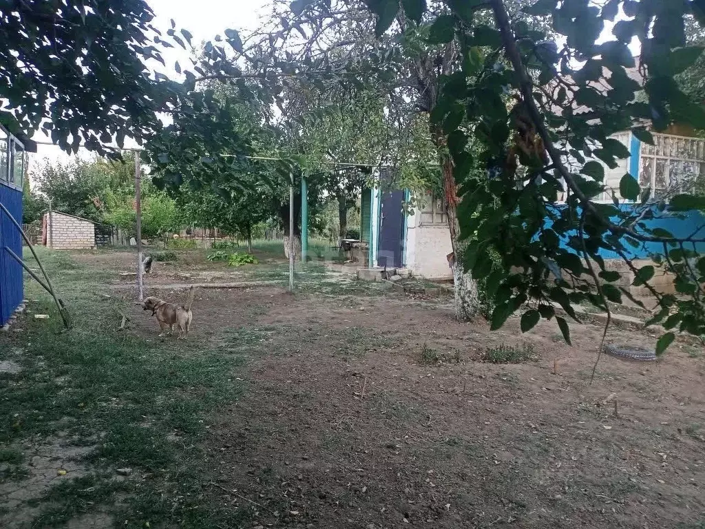 Дом в Волгоградская область, Чернышковский рп пер. Школьный, 30 (48 м) - Фото 2