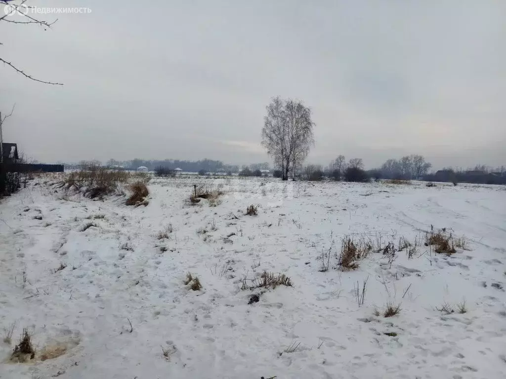 Участок в деревня Кайбалы, Рижская улица (12 м) - Фото 1