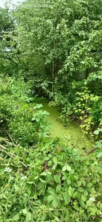 Дом в Кратово, улица Грибоедова, 3 (104.5 м) - Фото 0