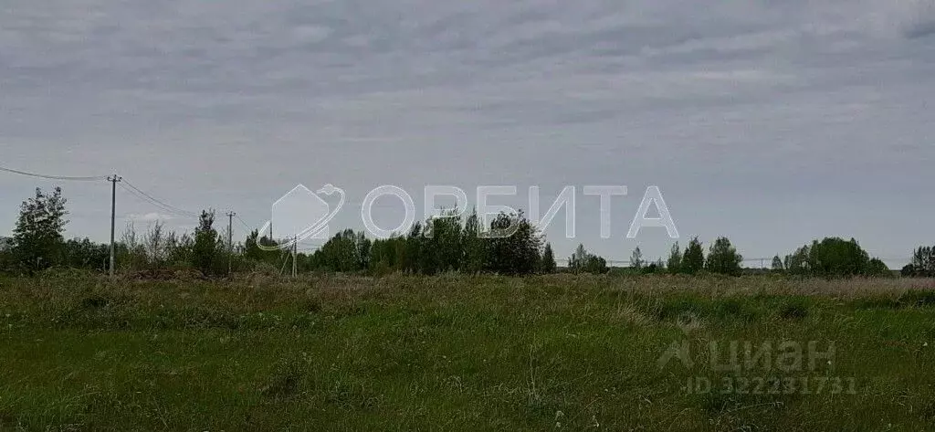 Участок в Тюменская область, Тюменский муниципальный округ, с. Борки  ... - Фото 0