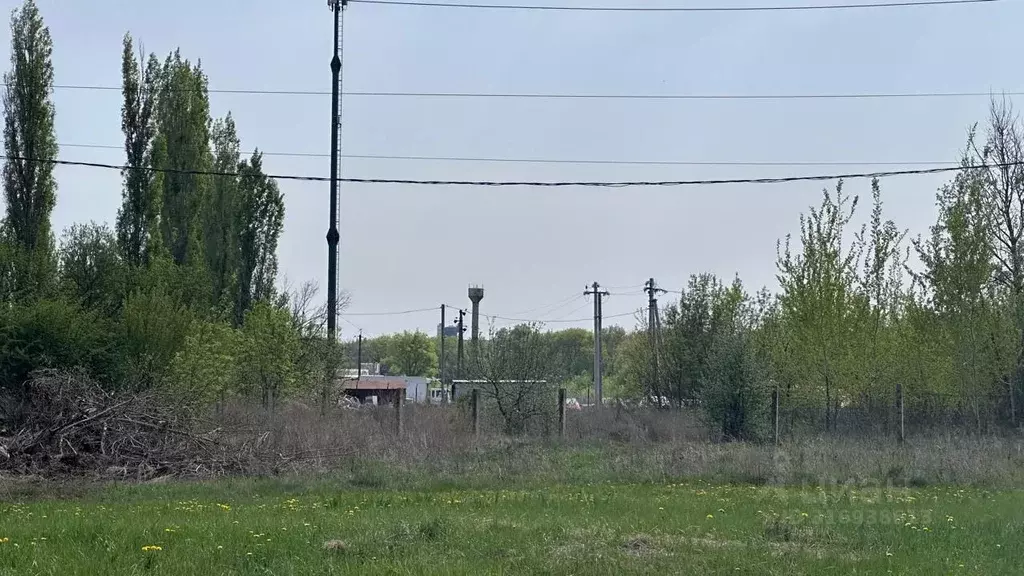 Участок в Воронежская область, Новоусманский район, Усманское 1-е ... - Фото 1