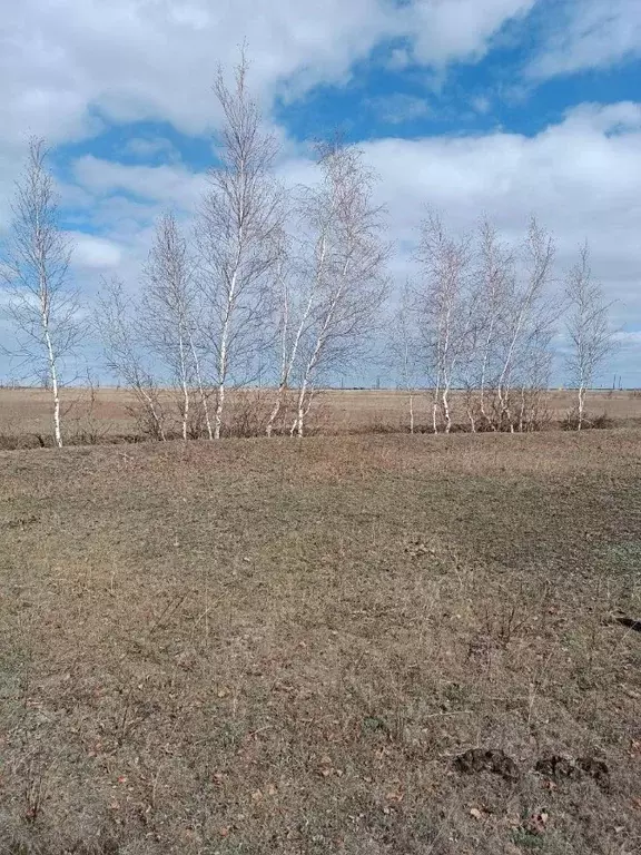 Участок в Саха (Якутия), Якутск городской округ, с. Тулагино  (10.52 ... - Фото 1