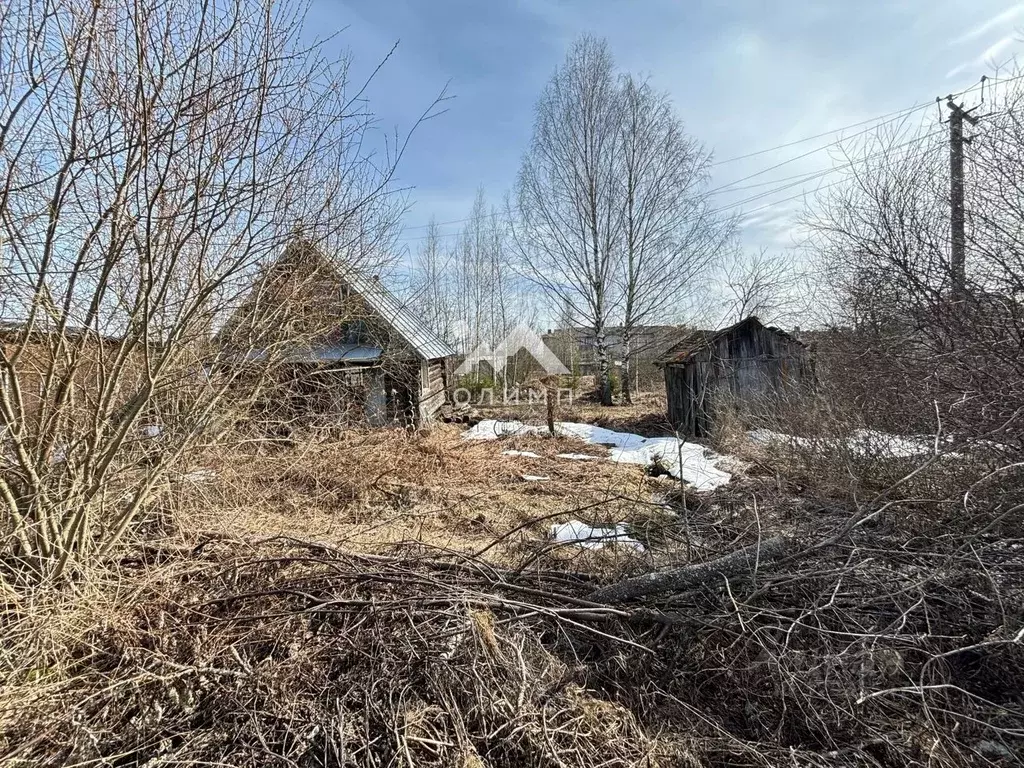 Участок в Вологодская область, Вологда Поляна садоводческое ... - Фото 1