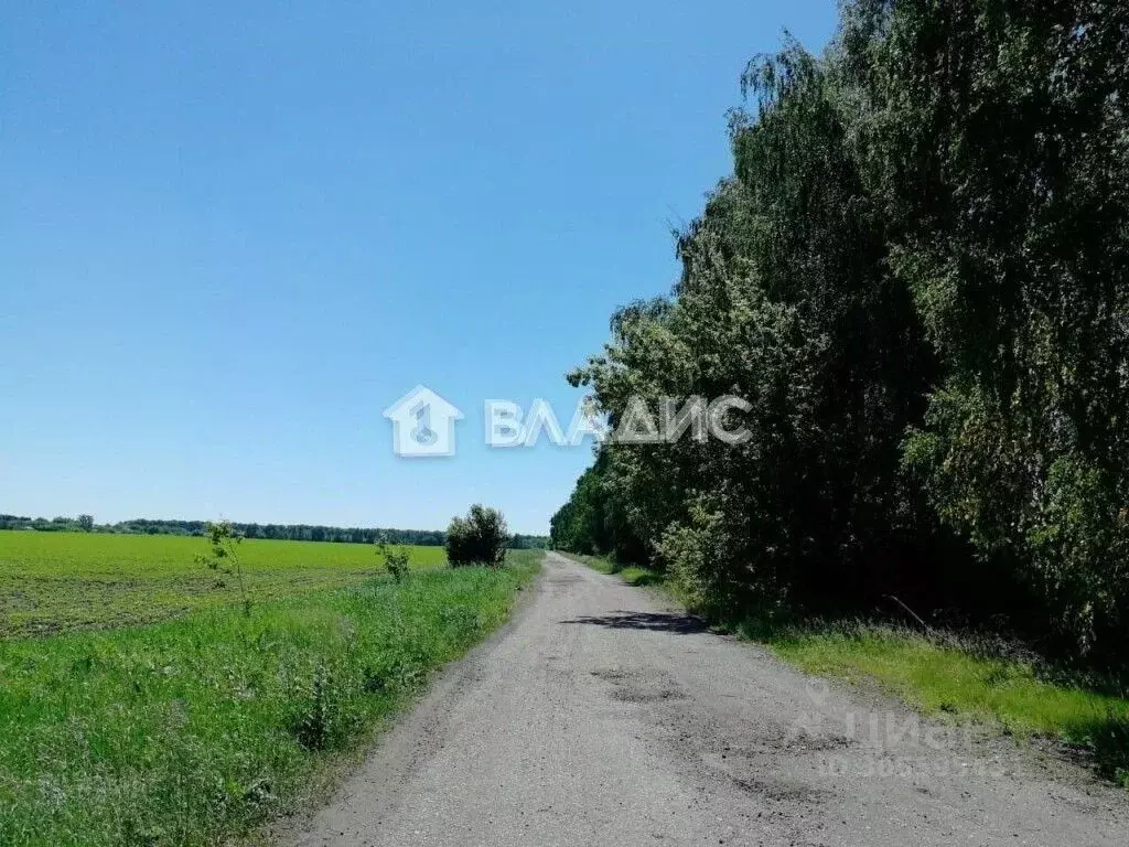 Участок в Тамбовская область, Тамбовский муниципальный округ, д. ... - Фото 0