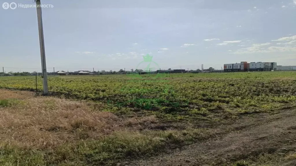 Участок в станица Старовеличковская, Центральная улица (12.4 м) - Фото 1