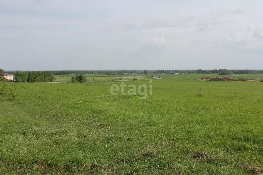 Участок в Ярославская область, Некрасовский муниципальный округ, д. ... - Фото 1