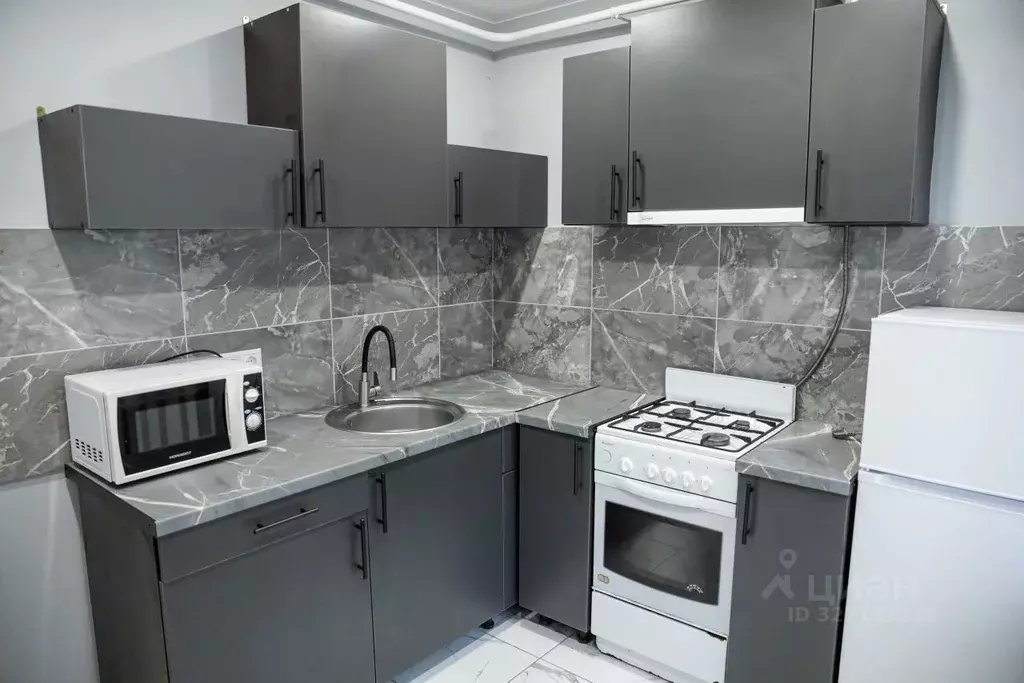 1-к кв. Московская область, Пушкинский городской округ, д. ... - Фото 1