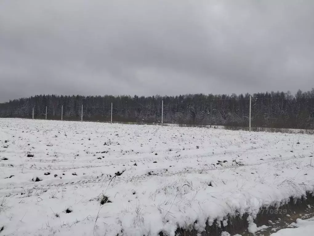 Участок в Московская область, Дмитровский городской округ, Раменье дп  ... - Фото 1