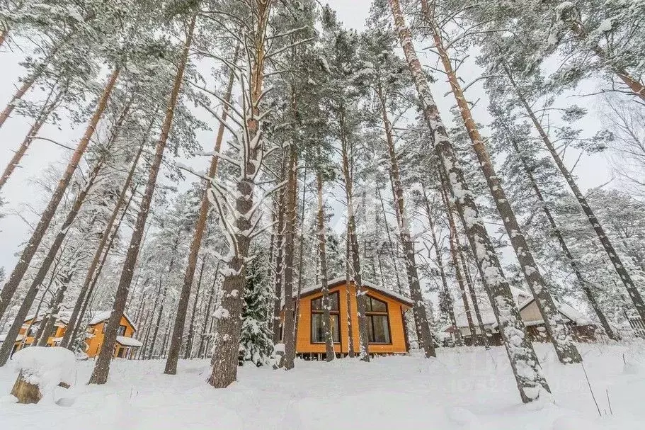 Дом в Ленинградская область, Приозерский район, Раздольевское с/пос, ... - Фото 1