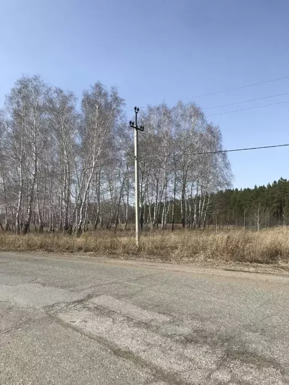 Участок в Омская область, Омский район, с. Усть-Заостровка  (4.33 ... - Фото 0