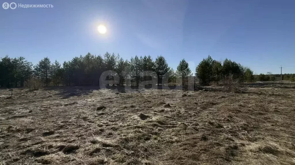 Участок в Кирово-Чепецкий муниципальный район, Пасеговское сельское ... - Фото 2